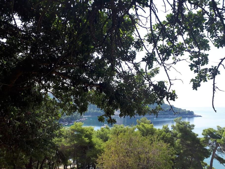 Apartment Kristic - Saplunara, Mljet Babino Polje Zewnętrze zdjęcie