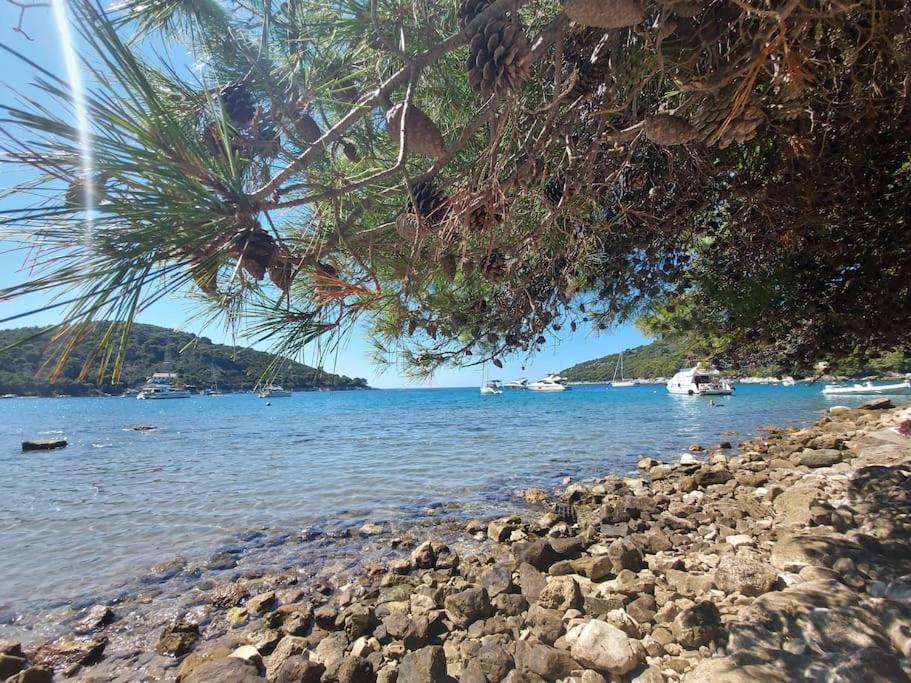 Apartment Kristic - Saplunara, Mljet Babino Polje Zewnętrze zdjęcie
