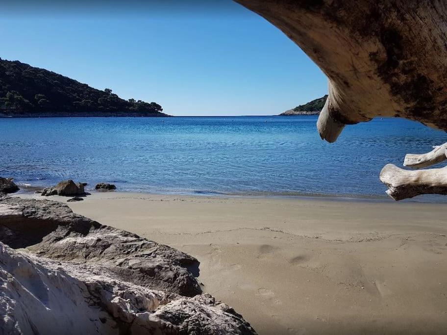 Apartment Kristic - Saplunara, Mljet Babino Polje Zewnętrze zdjęcie
