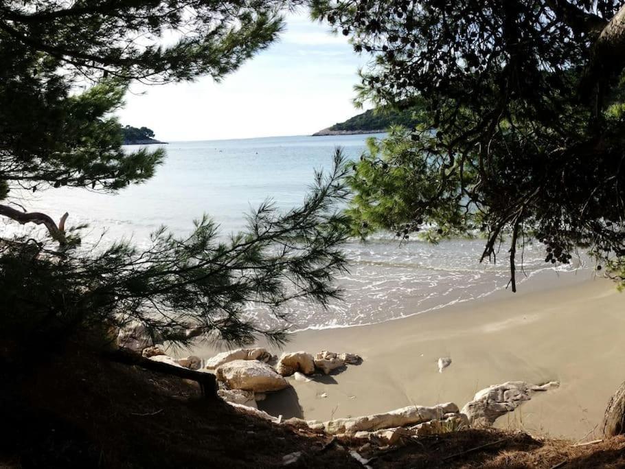 Apartment Kristic - Saplunara, Mljet Babino Polje Zewnętrze zdjęcie