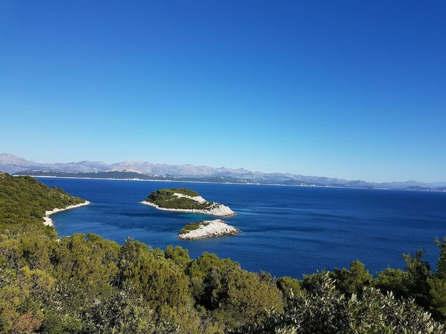 Apartment Kristic - Saplunara, Mljet Babino Polje Zewnętrze zdjęcie