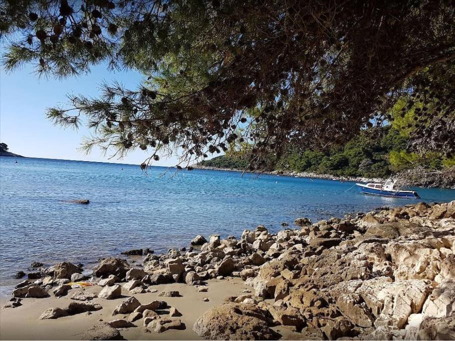 Apartment Kristic - Saplunara, Mljet Babino Polje Zewnętrze zdjęcie