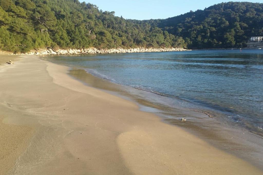Apartment Kristic - Saplunara, Mljet Babino Polje Zewnętrze zdjęcie