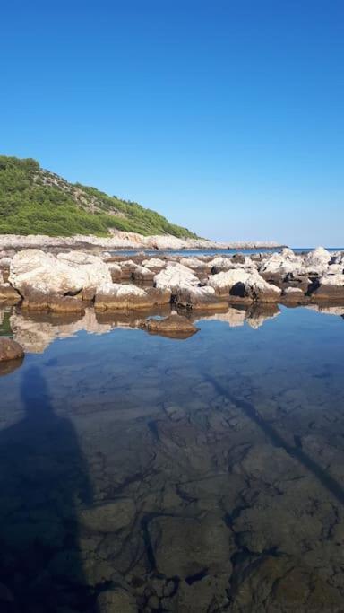 Apartment Kristic - Saplunara, Mljet Babino Polje Zewnętrze zdjęcie
