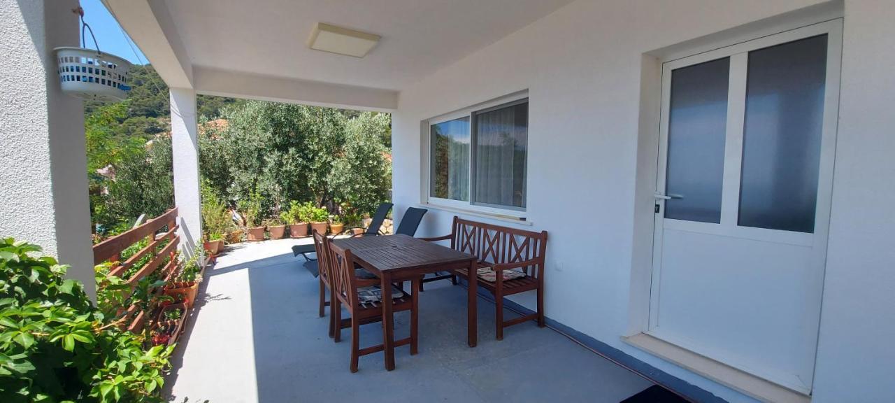 Apartment Kristic - Saplunara, Mljet Babino Polje Zewnętrze zdjęcie